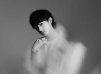 《勇者斗恶龙：达尔大冒险》TV动画新艺图10月2日启用新主题歌