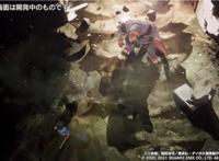 DQ粉丝大过年！勇者斗恶龙12开发过半还有八方旅人版DQ3