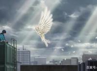 男主跳楼捡了个女主？这样的十月新番真敢做