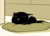 国漫中4大喵星人！前两个很少人知道，图4最火，都认识的算我输！