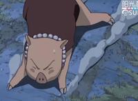 日本动漫中五头有名的“猪角色”，你都认识吗？