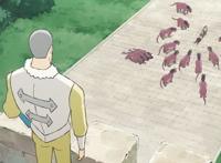 国王排名：动画全线拉垮，根本原因还是原作