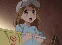 既看动漫又涨姿势，最值得追的动漫在这里——《工作细胞》篇