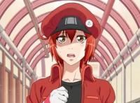 既看动漫又涨姿势，最值得追的动漫在这里——《工作细胞》篇