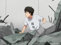 引进的日本动画《工作细胞：细胞大作战》，呆萌可爱的乳酸菌