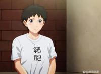 引进的日本动画《工作细胞：细胞大作战》，呆萌可爱的乳酸菌