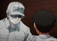 引进的日本动画《工作细胞：细胞大作战》，呆萌可爱的乳酸菌