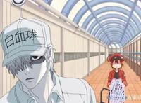 动漫《工作细胞》豆瓣评分9.2，打着科普的旗号火了