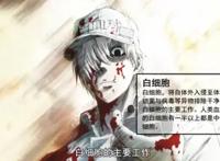 分享15张科普动画《工作细胞》里面的CG知识图片