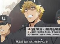 分享15张科普动画《工作细胞》里面的CG知识图片