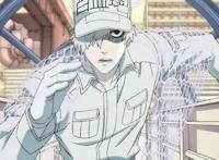 7月新番排行《工作细胞》首次跌落榜首