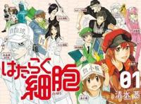 7月新番排行《工作细胞》首次跌落榜首