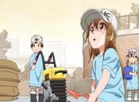 《工作细胞》在央视6套播出，被剪掉白细胞战斗画面，血迹成褐色