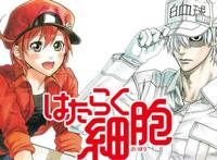 细胞拟人，恋爱同时战斗力爆表，科普动漫《工作细胞》了解一下