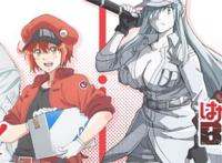 细胞拟人，恋爱同时战斗力爆表，科普动漫《工作细胞》了解一下