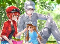 细胞拟人，恋爱同时战斗力爆表，科普动漫《工作细胞》了解一下