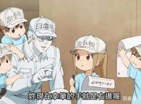 《工作细胞》简直良心，官方承诺动漫所有形象，以后将无偿使用！