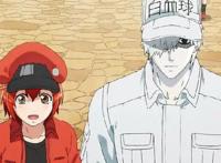 时隔14年央视再播日本动画为什么是《工作细胞》