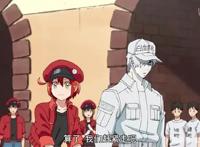 工作细胞：b站评分9.7，第一集就神作的动漫，生物考试就靠这个了