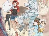 沐子谈动漫：科普向动漫推荐——《工作细胞》