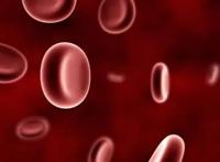 《工作细胞》：最棒的科普动漫