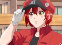 《工作细胞》：最棒的科普动漫