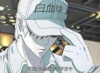 《工作细胞》：最棒的科普动漫