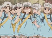 《工作细胞》：最棒的科普动漫