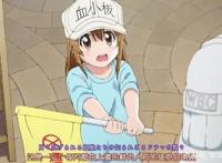 《工作细胞》：用漫画方式讲述人体微观百态，血小板是萝莉太好了