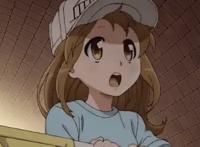 《工作细胞》——纵观整个动漫界，唯有这部番的老婆我是拥有的