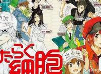 难得一见的科普类动漫——《工作细胞》