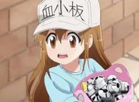 《工作细胞Black》宣布动画化，红白细胞性别互换，拯救坏掉身体