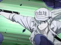 《工作细胞Black》宣布动画化，红白细胞性别互换，拯救坏掉身体