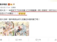 B站追番人数第2的工作细胞，第1季被央视引进，播放方式令人在意
