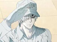 工作细胞：第二季制作决定！血小板、巨噬细胞拟人后你更爱哪个？