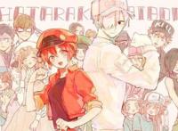 网友评选最期待的1月新番，续作占大半，《工作细胞》备受期待