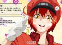 工作细胞第二季：新细胞酷似大号血小板，而戴反帽则治愈力十足