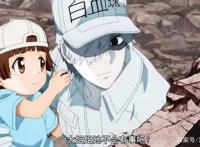 工作细胞2：血小板家族再添新成员，代号反戴帽，和女主一样呆萌