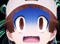 工作细胞2：血小板家族再添新成员，代号反戴帽，和女主一样呆萌