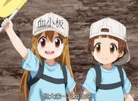 工作细胞2：血小板家族再添新成员，代号反戴帽，和女主一样呆萌