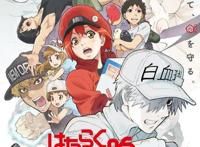 工作细胞第二季宣传PV公开锁定2021年一月新番观众想看冠状BOSS