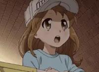 软妹血小板变熊孩子《工作细胞》第二季和暗黑版明年1月将上线