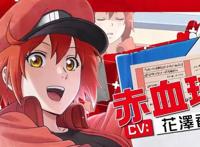 你们的血小板回来了，《工作细胞》第二季制作决定，PV已放出