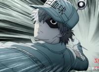 电影版《工作细胞》定档4月9日高萌上演身体保卫战