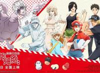 「消息」电影版《工作细胞》发布全阵容海报预售开启解锁细胞萌力