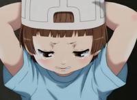 两部“工作细胞”动画开播，一部让人萌萌哒，一部让人害怕