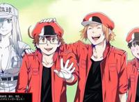 《工作细胞BLACK》最后暗示会出第二季？另一幅身体，更加黑心