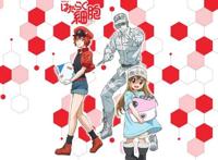 《工作细胞》第二季制作决定，上线时间未定，你们的血小板要来了