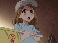 工作细胞第2季登场，将于2021年1月播出，最强的生物科普动漫