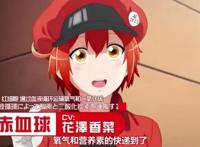 《工作细胞》第二季PV公开，血小板萌物回归，声优阵容太强悍